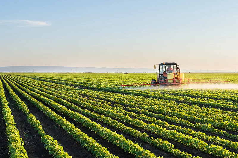Agricoltura