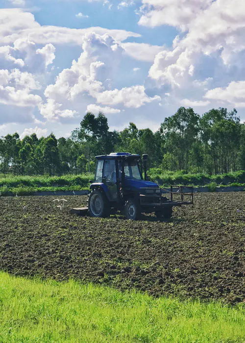 Coltivazione dei terreni agricoli
